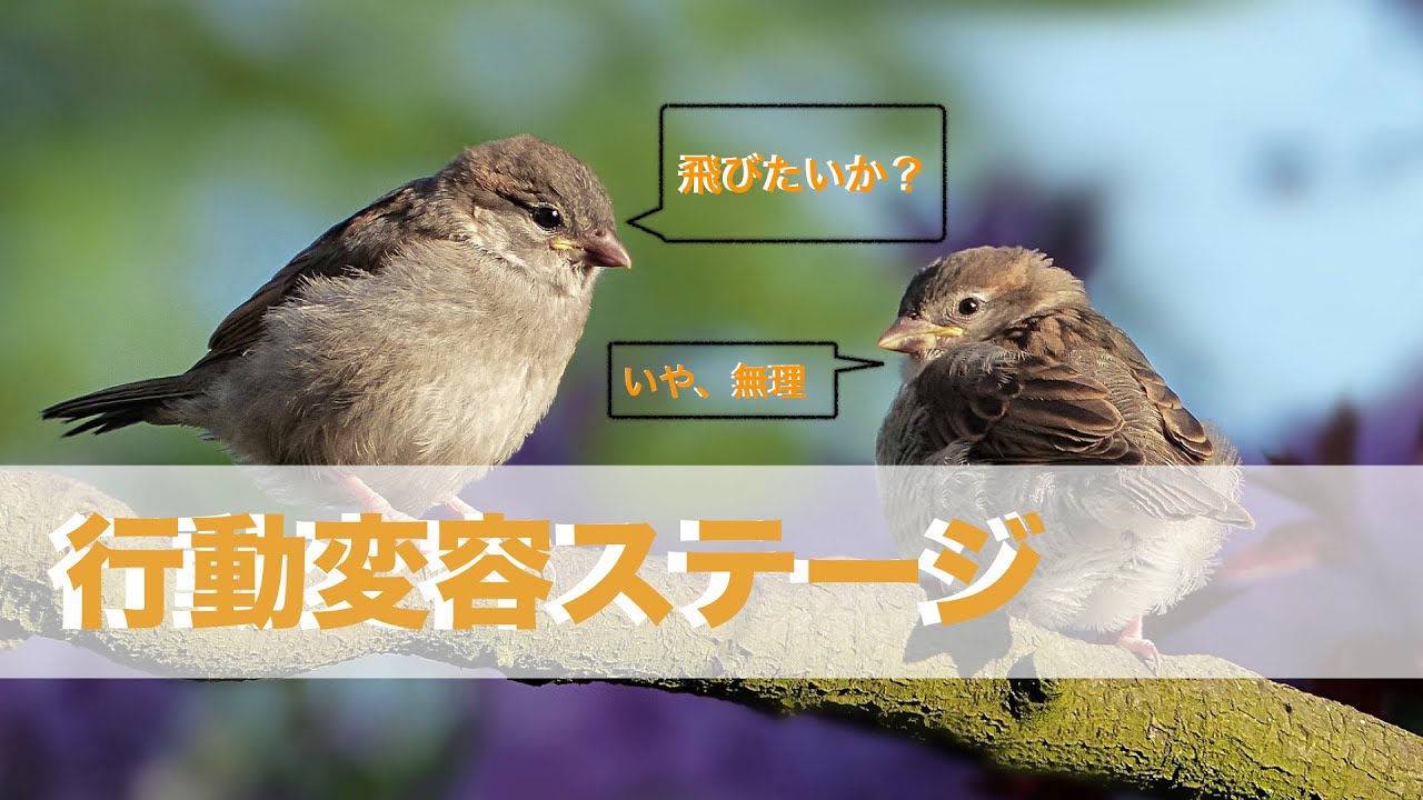 行動変容ステージを利用して悩み解決【患者教育】