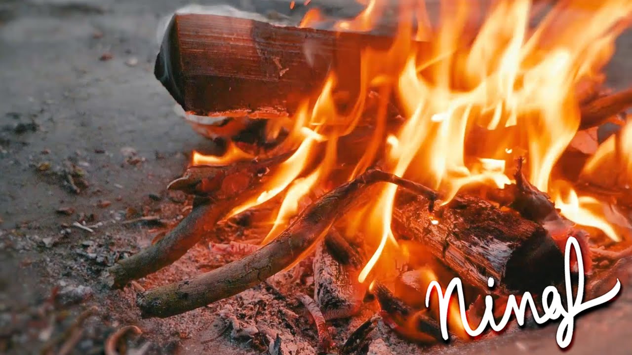 Fire crackling and birds singing in Finnish forest 🌲 ASMR