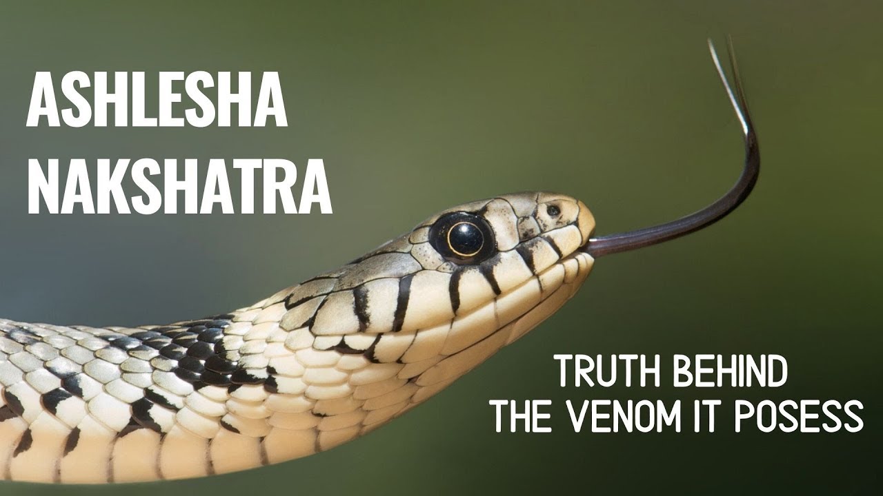 ASHLESHA NAKSHATRA - INTRODUCTION (DEITY, SYMBOL, FUNCTIONING)