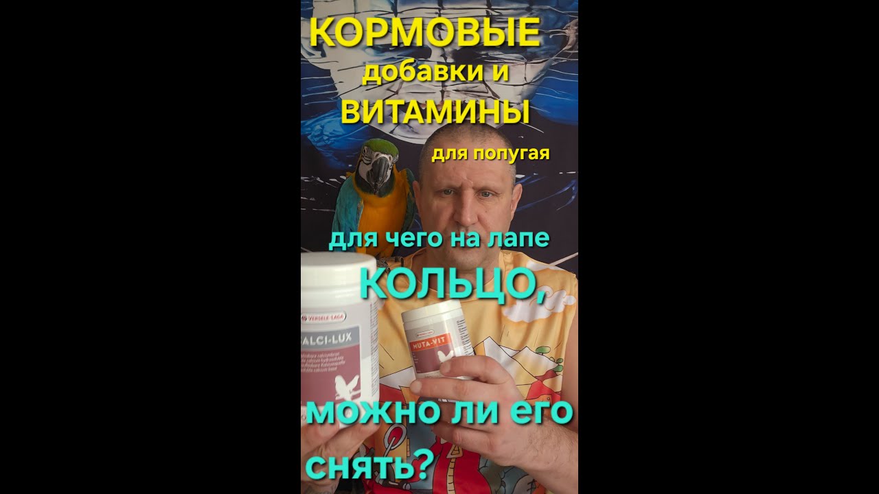 КОРМОВЫЕ добавки и ВИТАМИНЫ, для чего на ЛАПЕ КОЛЬЦО у попугая, можно ли его снять?