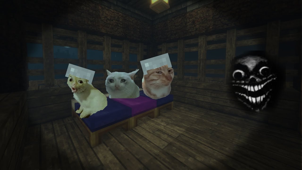 3 Idiots Play Minecraft Horror For The First Time