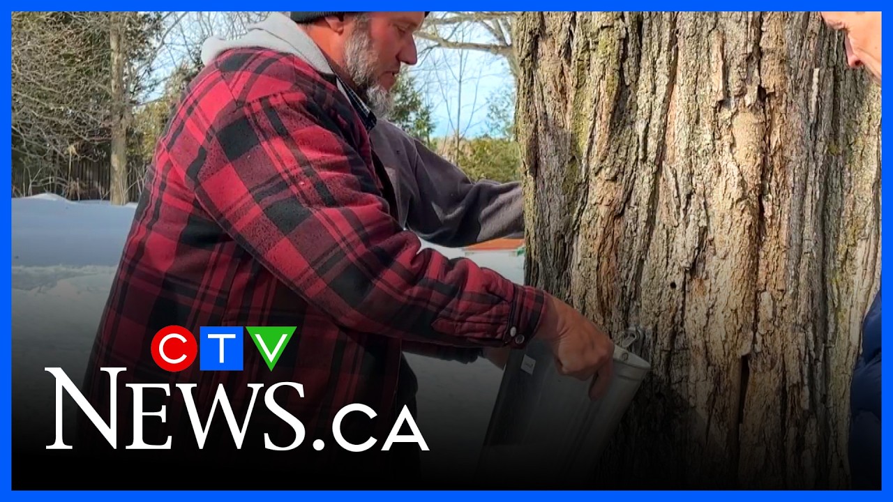 Maple syrup season: Local farm marks 200 years