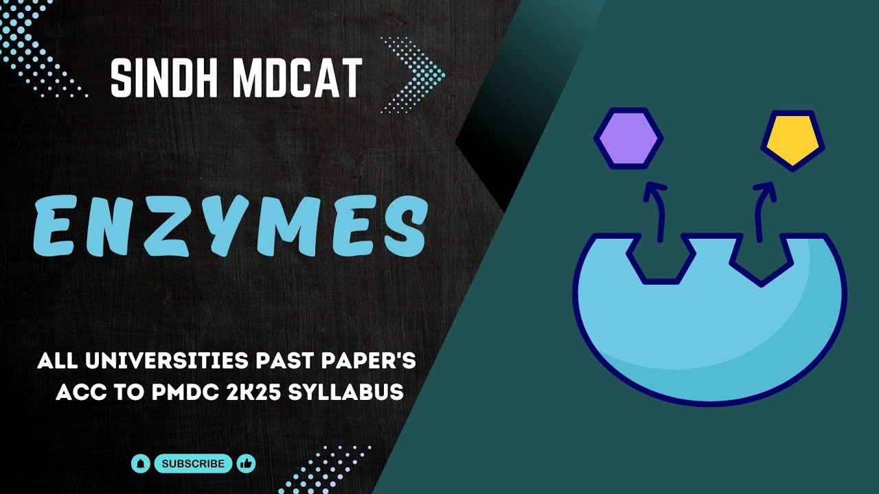ENZYME | PAST PAPER | SINDH MDCAT | PMDC 2k25 SYLLABUS 