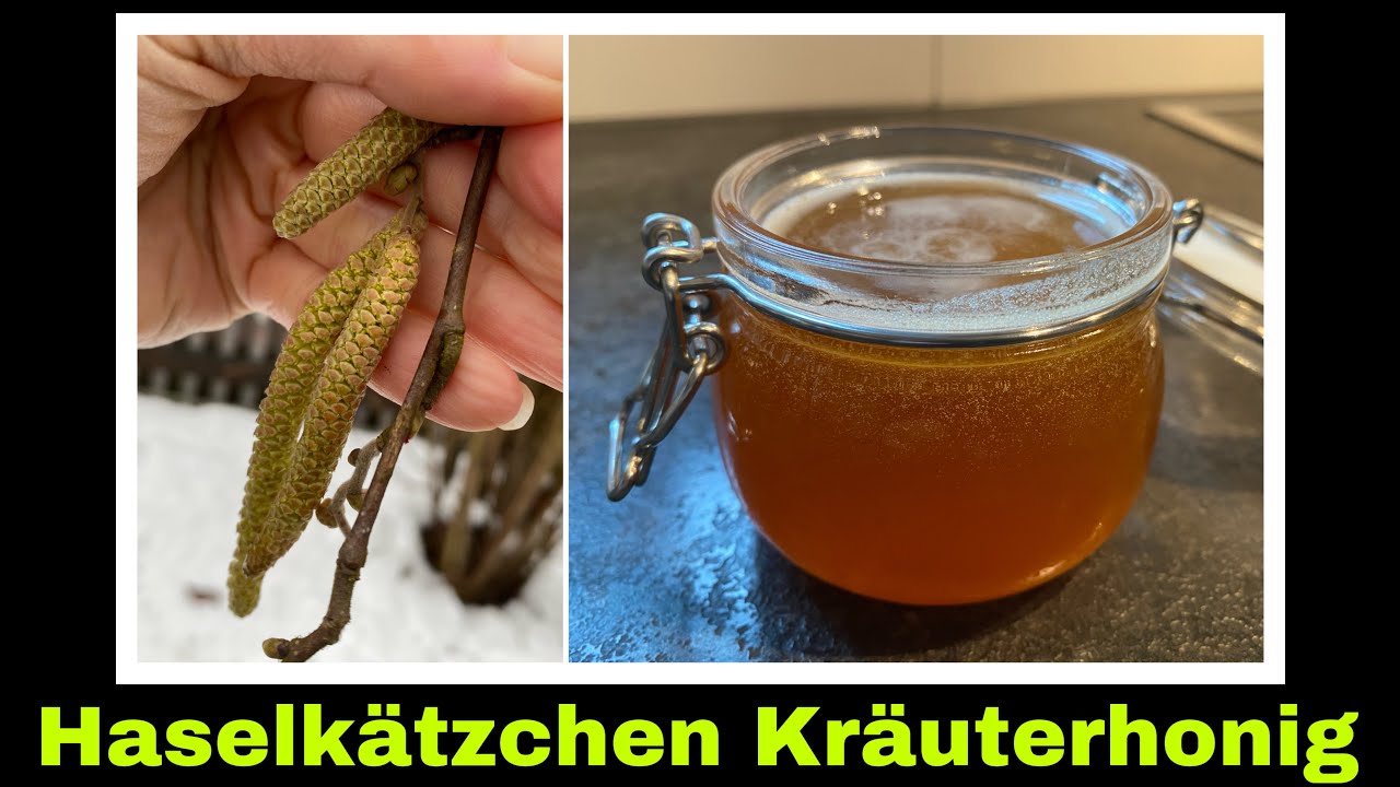 Haselkätzchen Honig ansetzen | Kräuterhonig selber machen | Selbstversorgung: Hasel