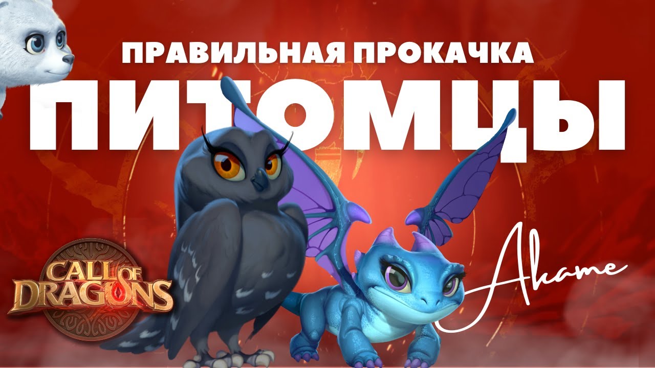 Правильная прокачка ПИТОМЦЕВ / Базовое видео [ Call of Dragons ]