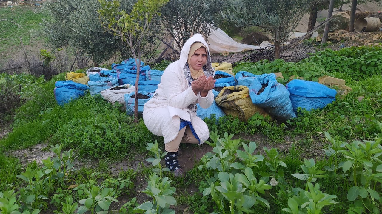 يا ربي  تعطينا 🤗هاد شتا على قد نفع🤲