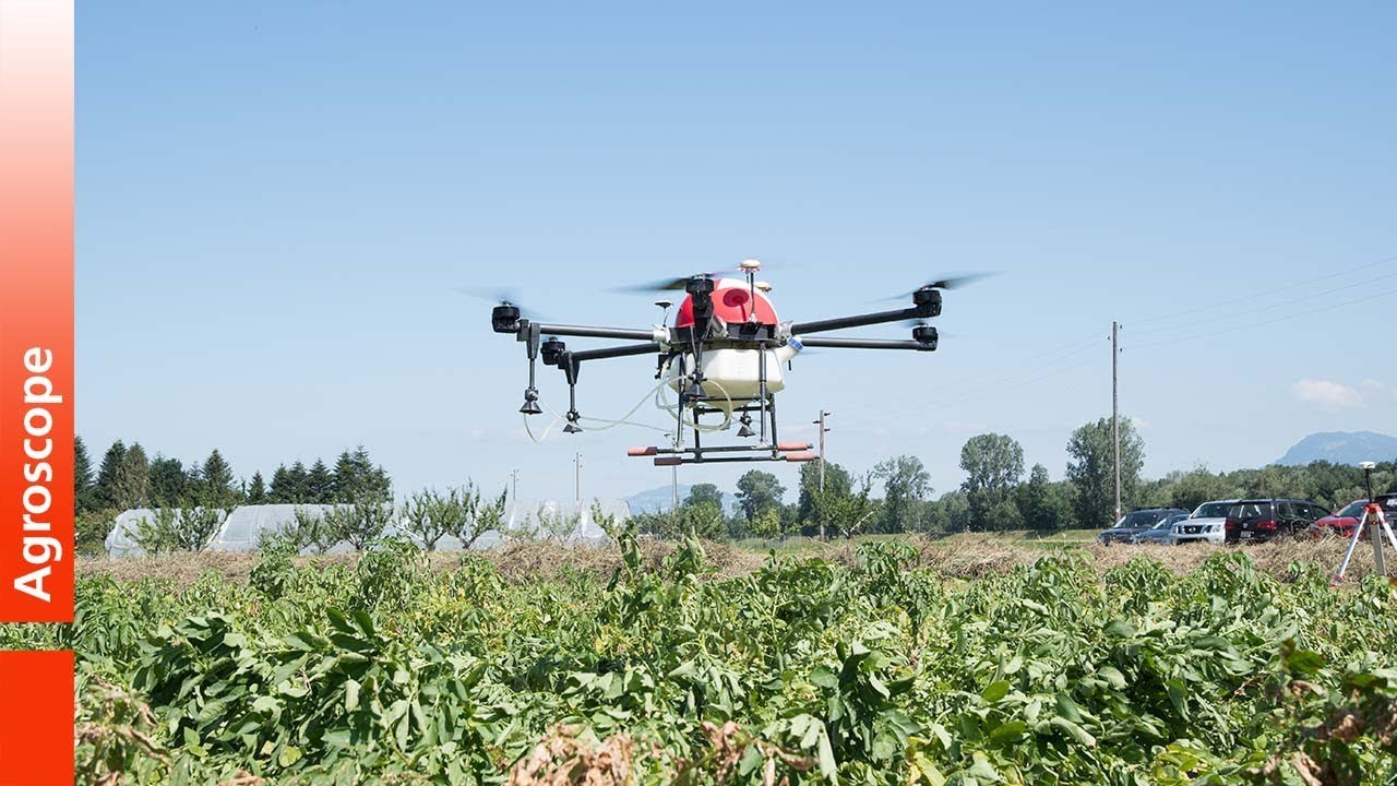 Utilisation du drone pour lutter contre le mildiou de la pomme de terre