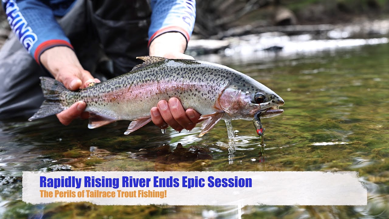 Catching river trout on spin gear