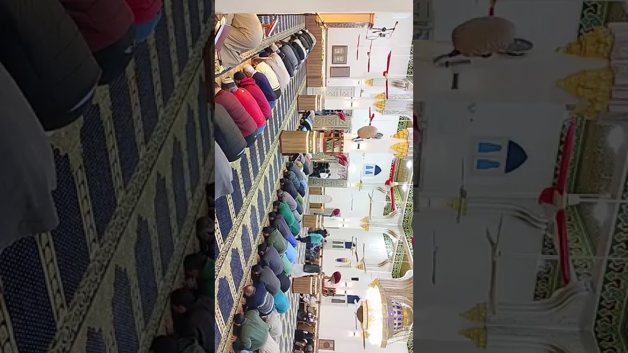 صلاة العشاء والتراويح من رحاب مسجد البحر بشرباص لفضيلة الشيخ أحمد عبد المحسن دمياط فارسكور 