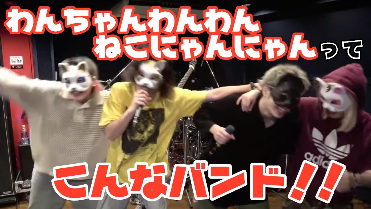 【(株)DDオタク向け】わんちゃんわんわんねこにゃんにゃんってどんなバンド？