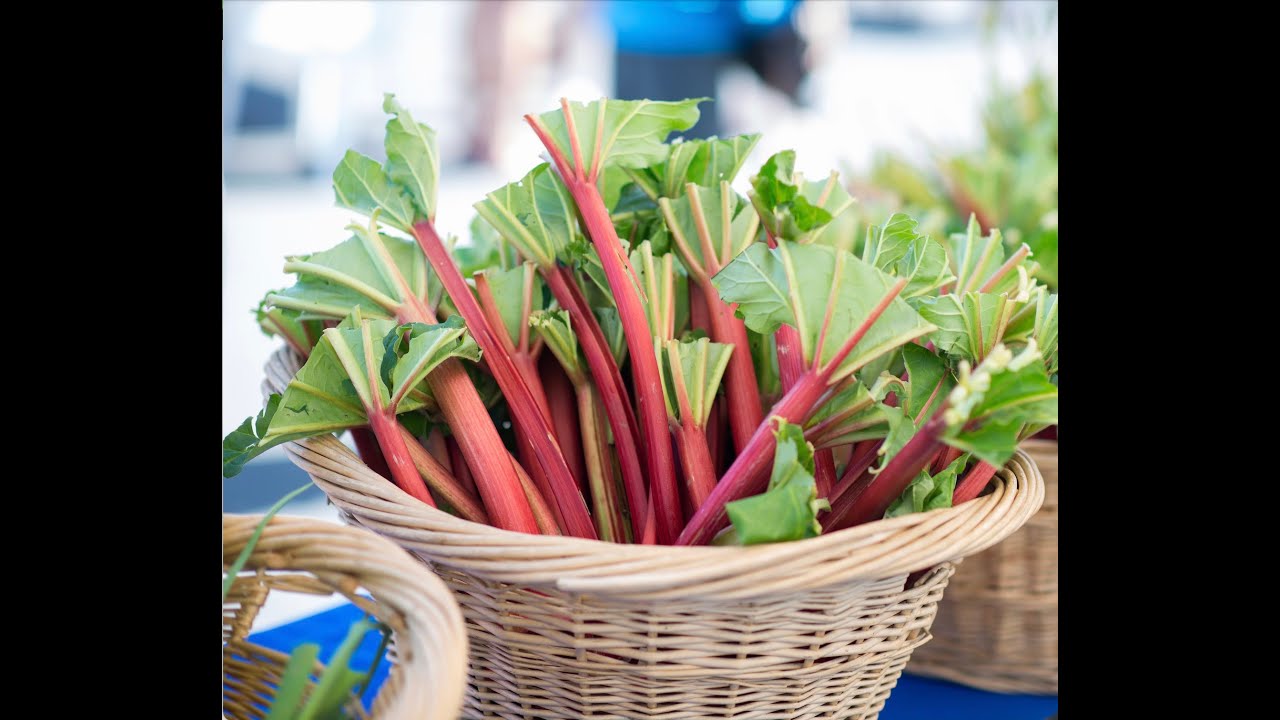 Rhubarb Shrub