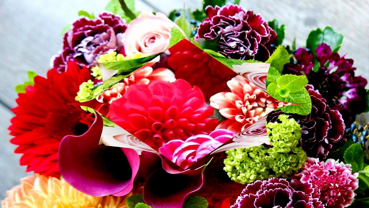 Beautiful flowers every day! (HD1080p)