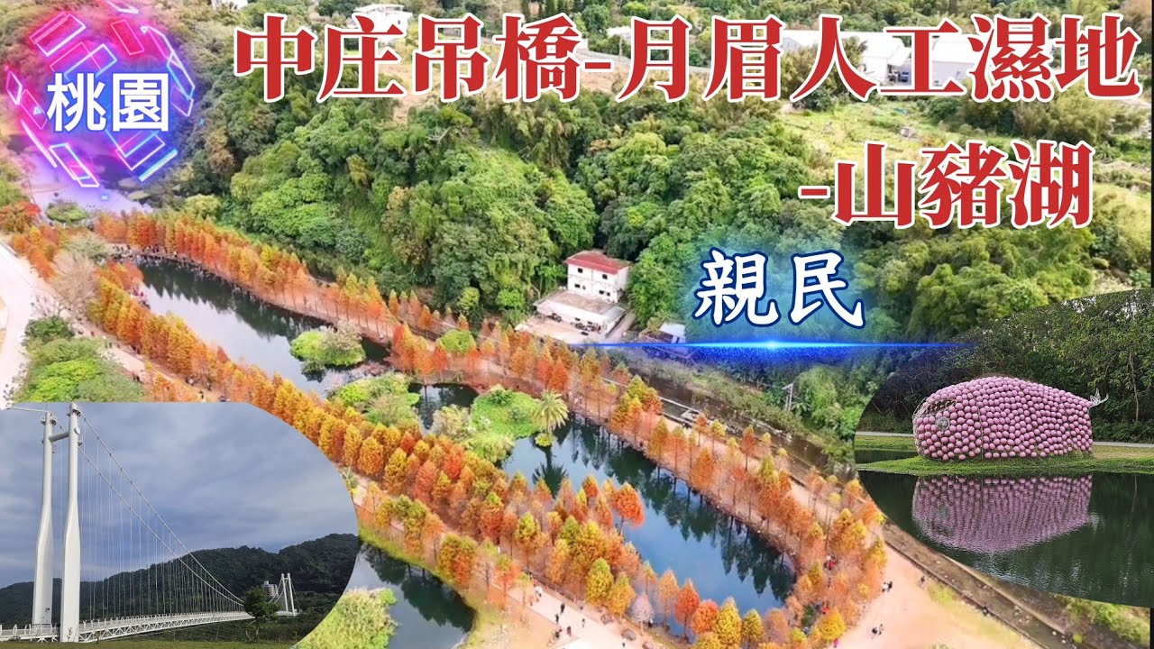 149集💫中庄吊橋-月眉人工濕地-山豬湖生態親水園區  美景一籮筐悠遊趣~中庄吊橋是台灣最長的懸索式吊橋、今年它最亮 落羽松一年四季展現截然不同的風情。GPS軌跡圖說明欄裡面可下載