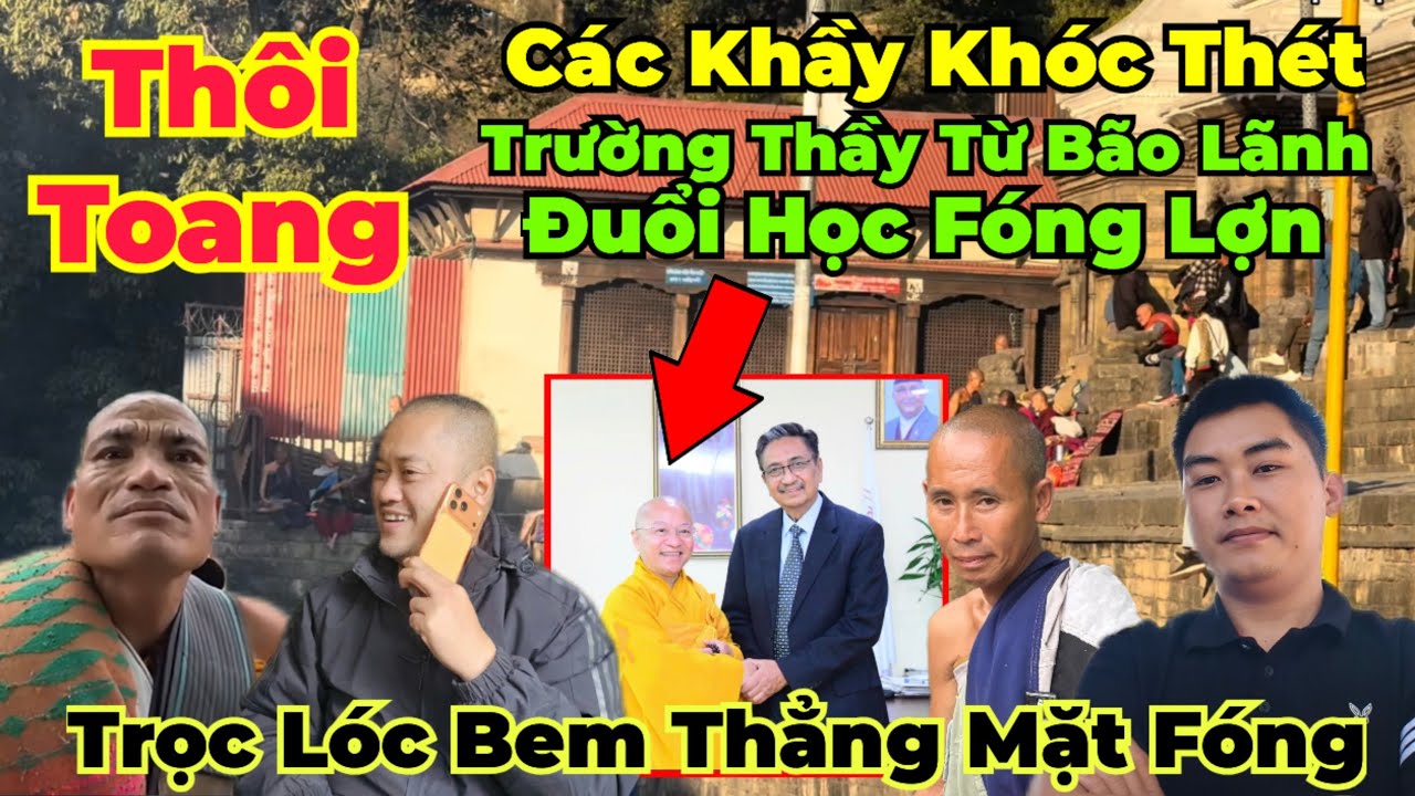 Quá Căng : Thầy Từ làm chủ tịch đoàn SMT... Trọc Lóc va thẳng mặt Fóng Lợn