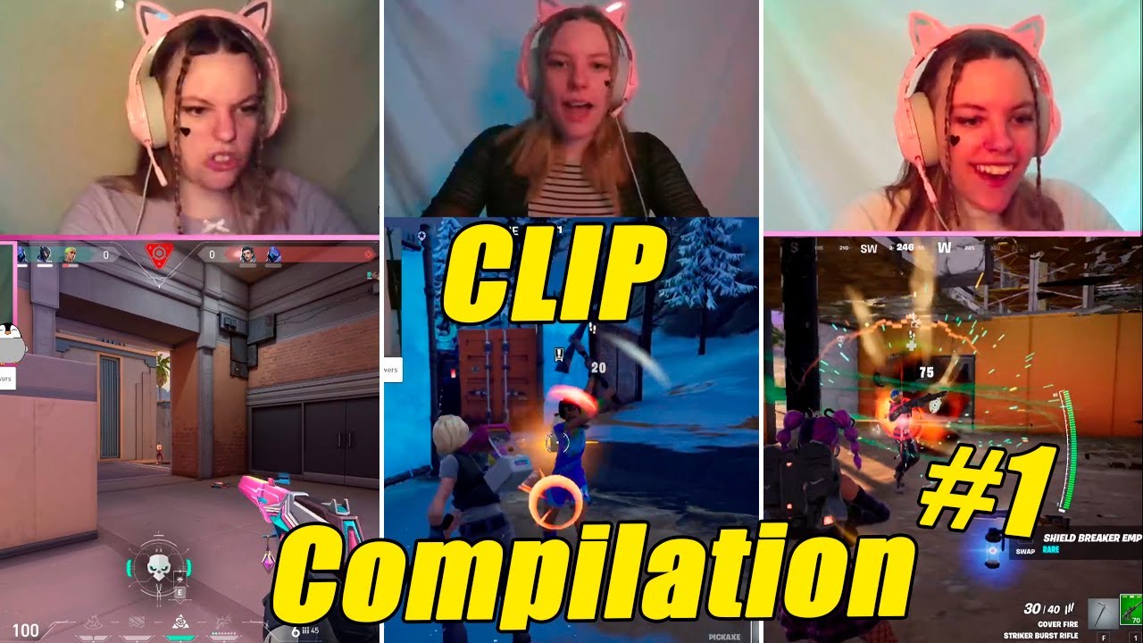 Too many BOTS in FORTNITE - Clip Compilation | Funny Twitch moments
