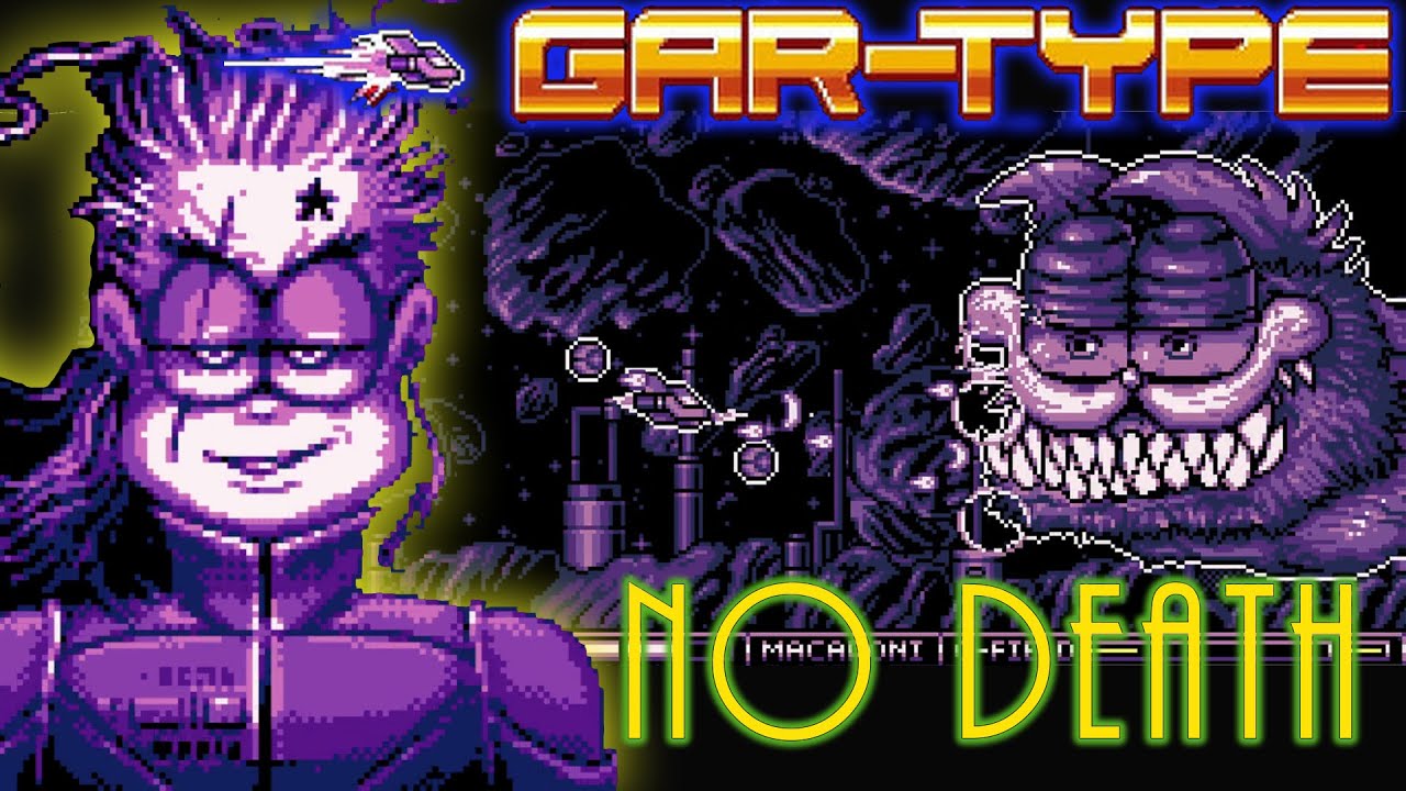 GAR-TYPE - No Death Playthrough