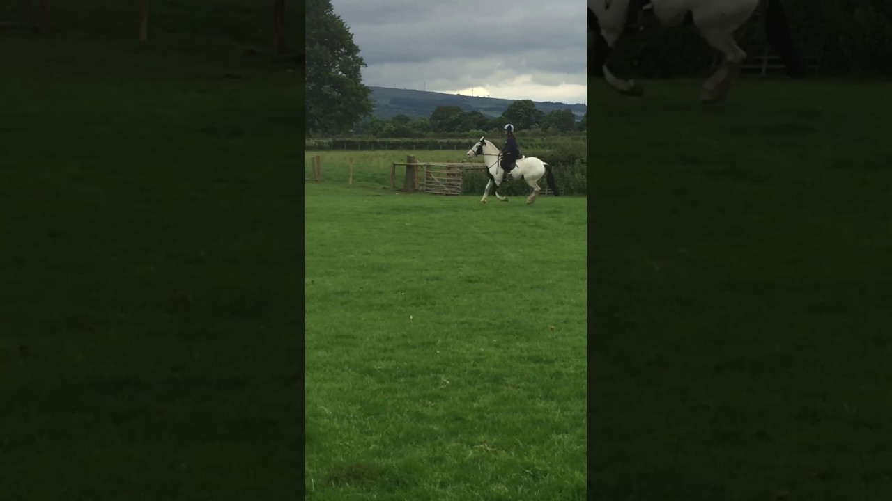 Amy and Dougie June 2017 at Forgewood