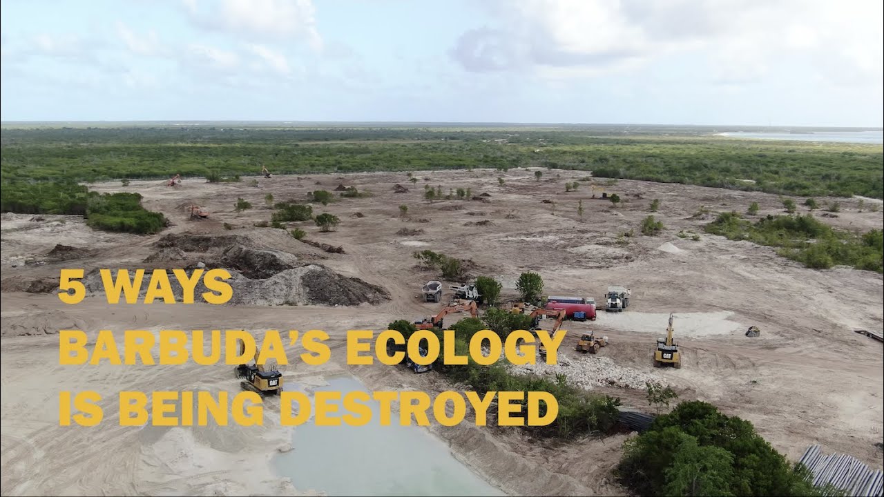 5 Ways Barbuda's Ecology is Being Destroyed
