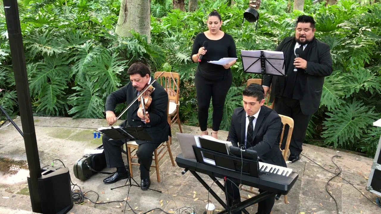 misa stella matutina (gloria) (carnevali) - benedictus CLÁSICO 4 artistas cover