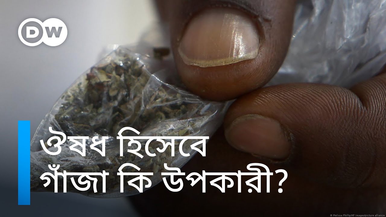 ঔষধ হিসেবে গাঁজার ব্যবহার নিয়ে বিভ্রান্তি