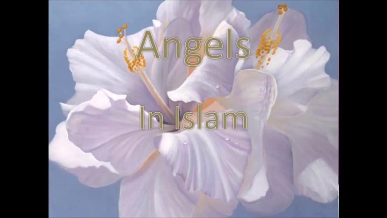 Moosa Richardson- Angels