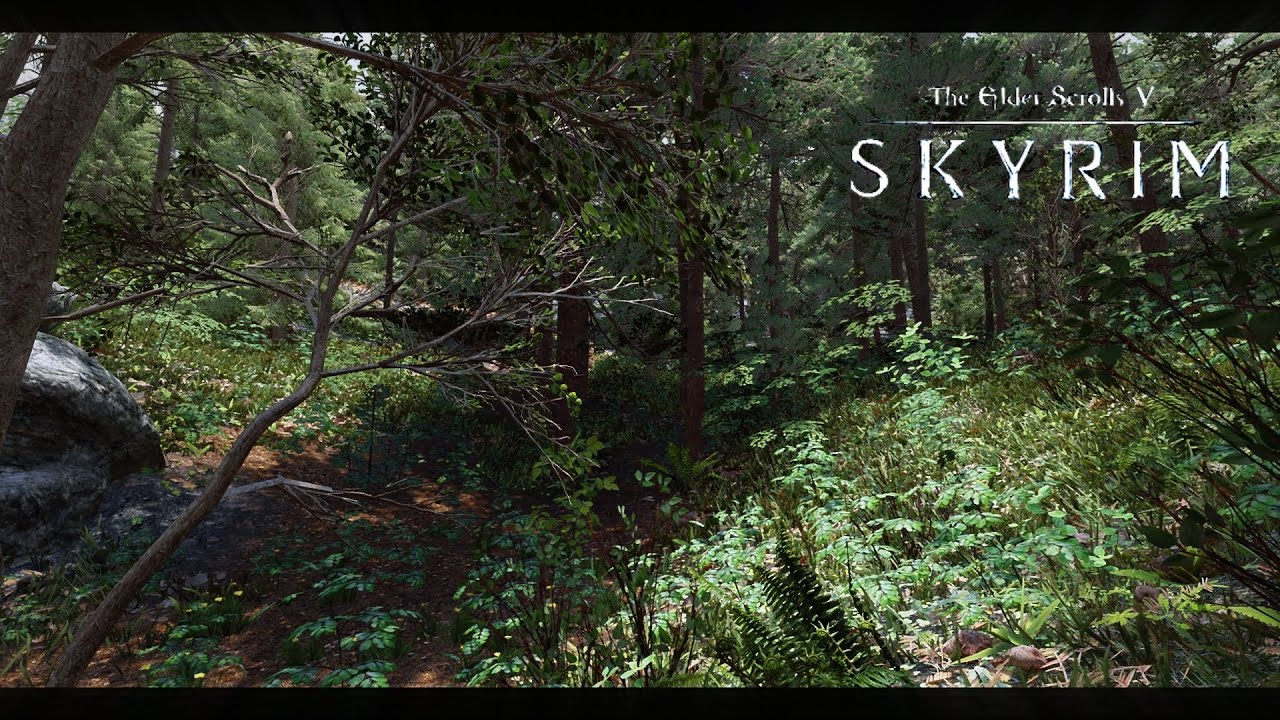 Skyrim Grass Mods Comparison: Which Mod Gives the Best Looking Landscape?