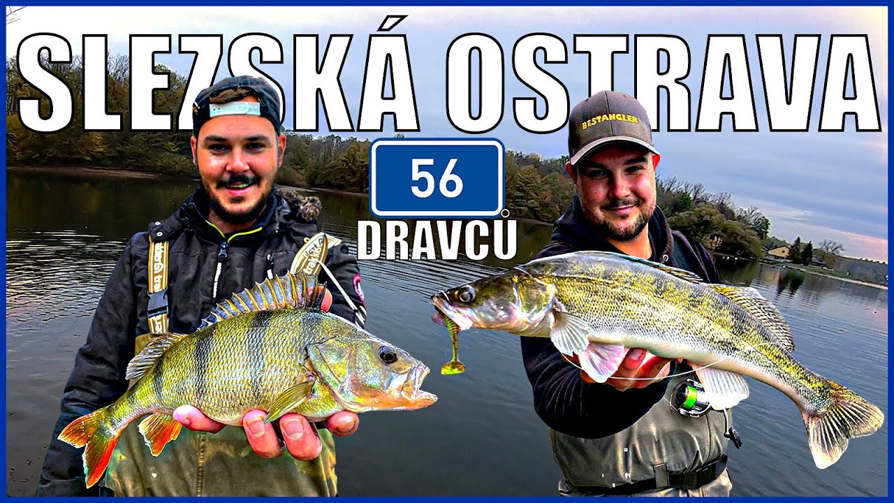 Lov dravých ryb s gumovou nástrahou (Speciál BO RYBA)