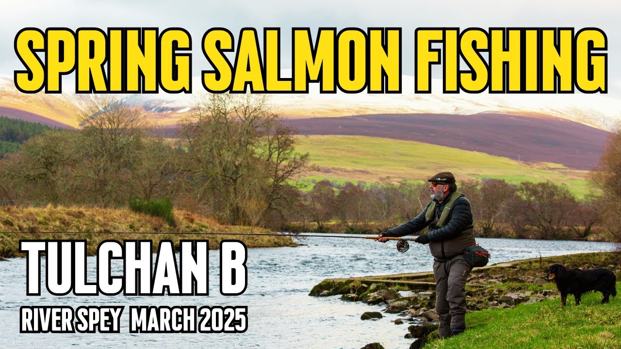 Spring Salmon Fly Fishing at Tulchan Beat B | River Spey Adventure March 2025