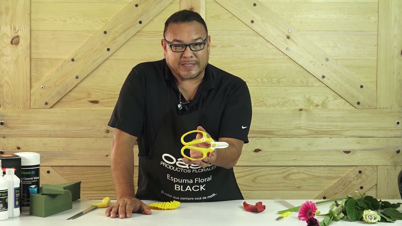 Mauricio Castañeda - HERRAMIENTAS OASIS®