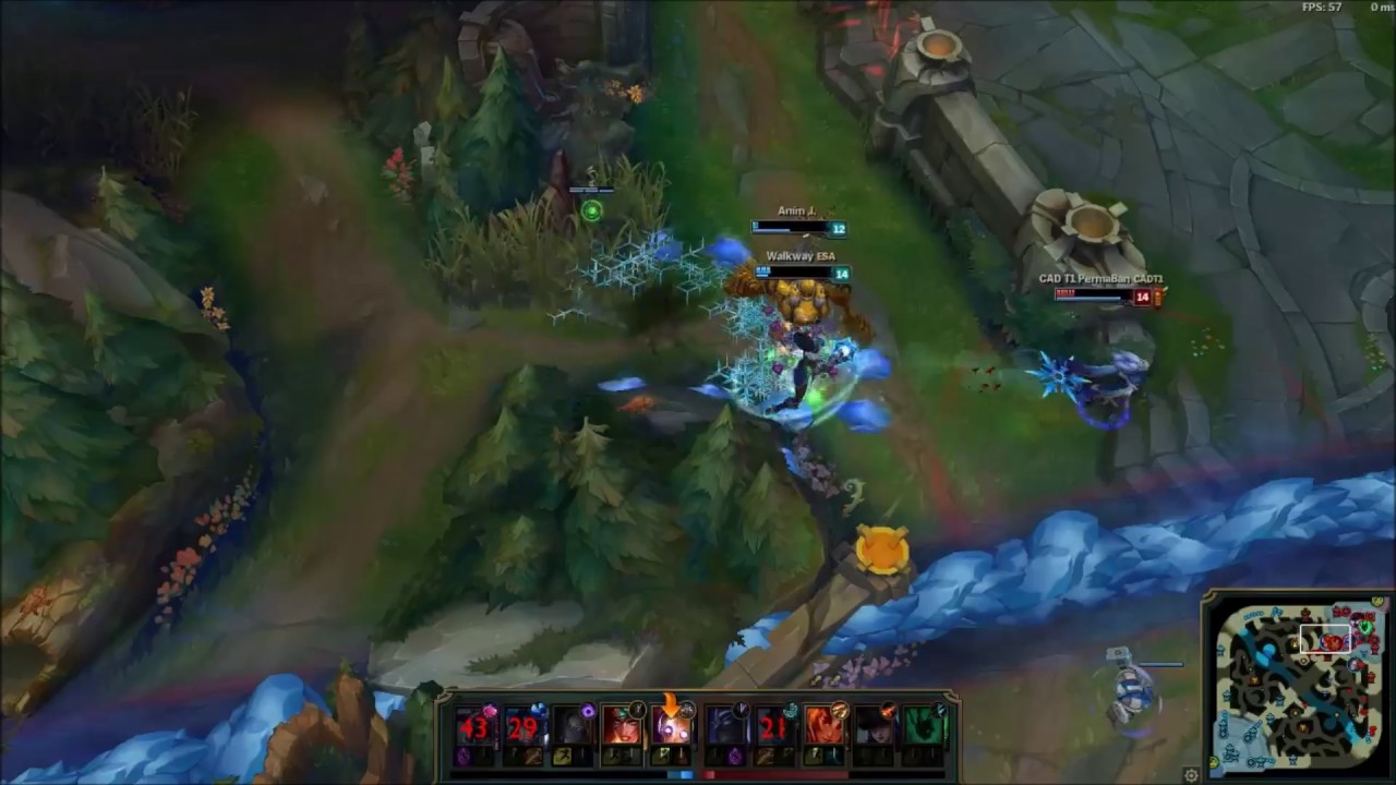 Ultimate Support Sacrifice