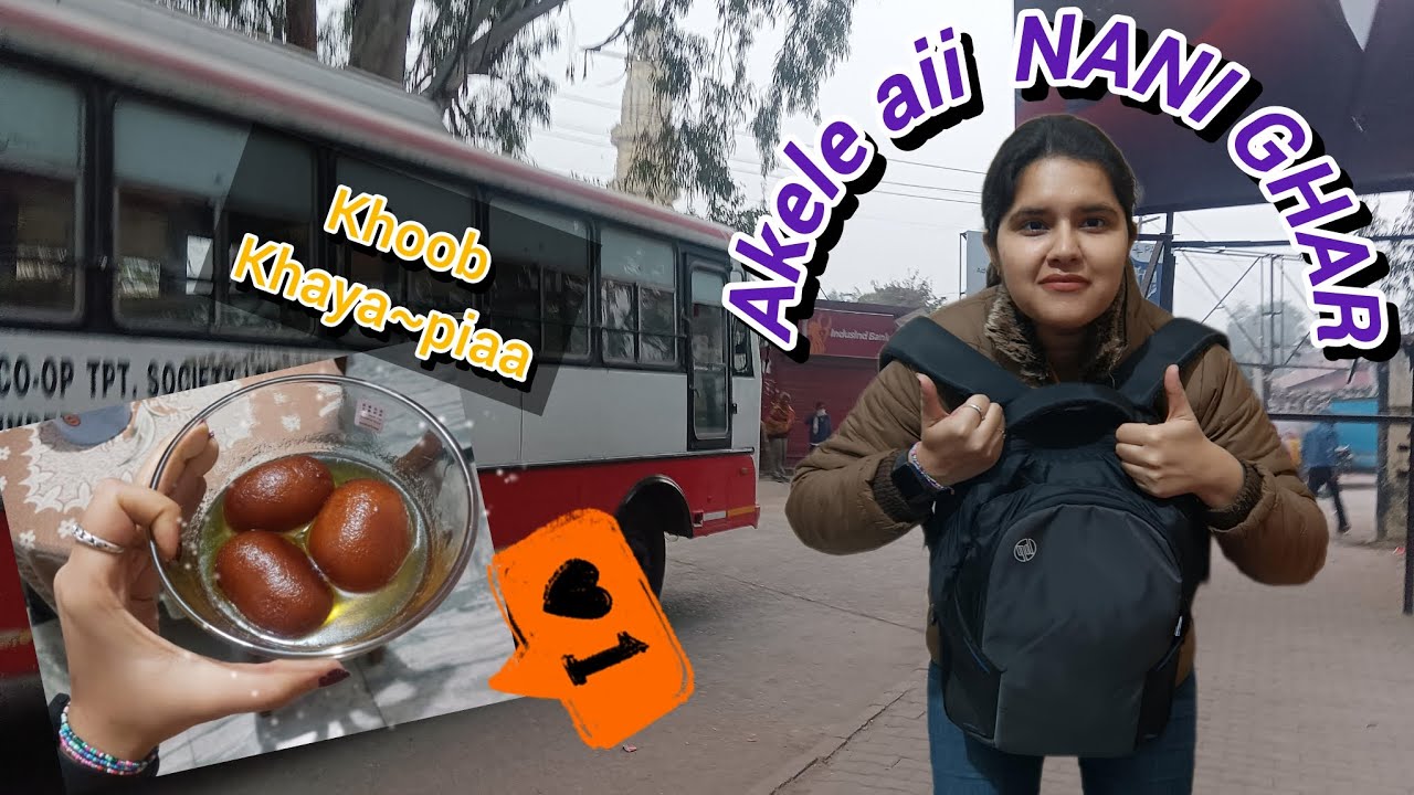 Akele travel kra 🏠 || Nani se kahani suni Sakath Chauth ki || Roti bnai khudse || feat. thevanslife 