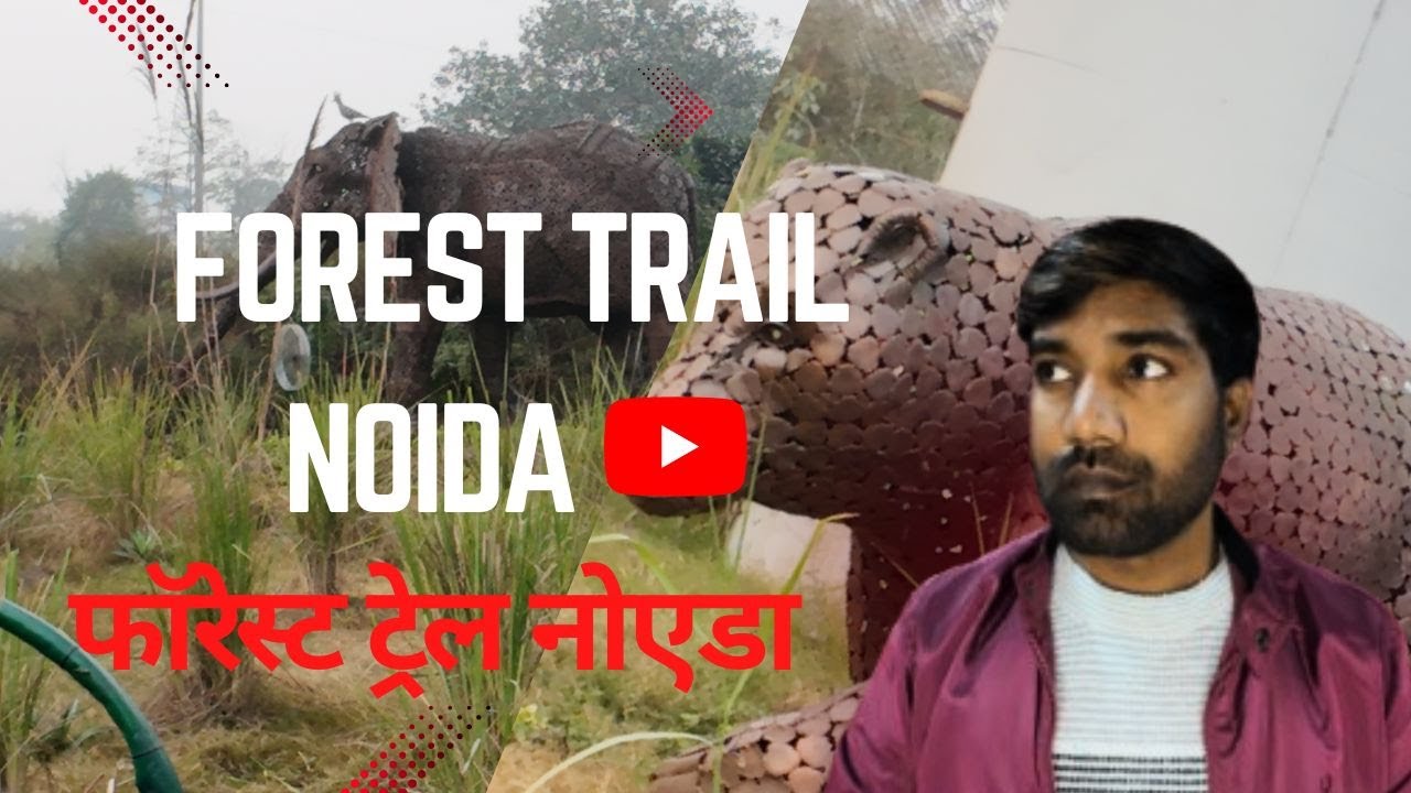 FOREST TRAIL NOIDA फॉरेस्ट ट्रेल नोएडा