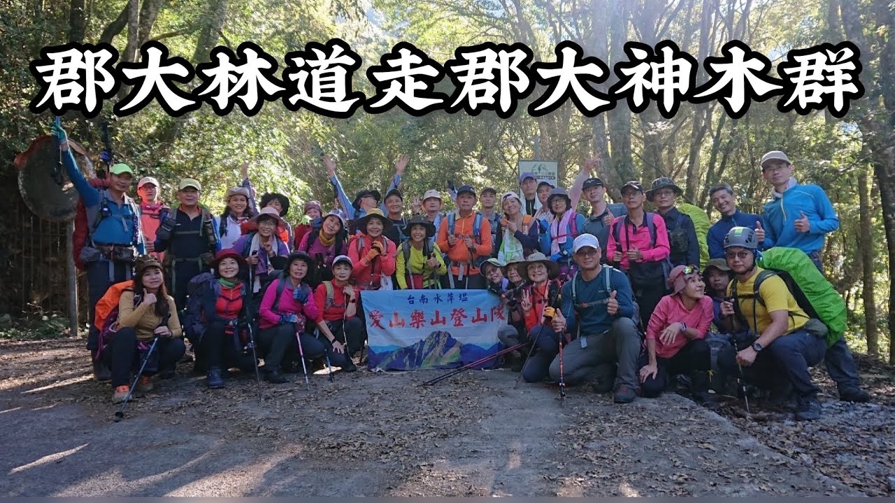 ［南投信義］郡大林道走郡大神木群