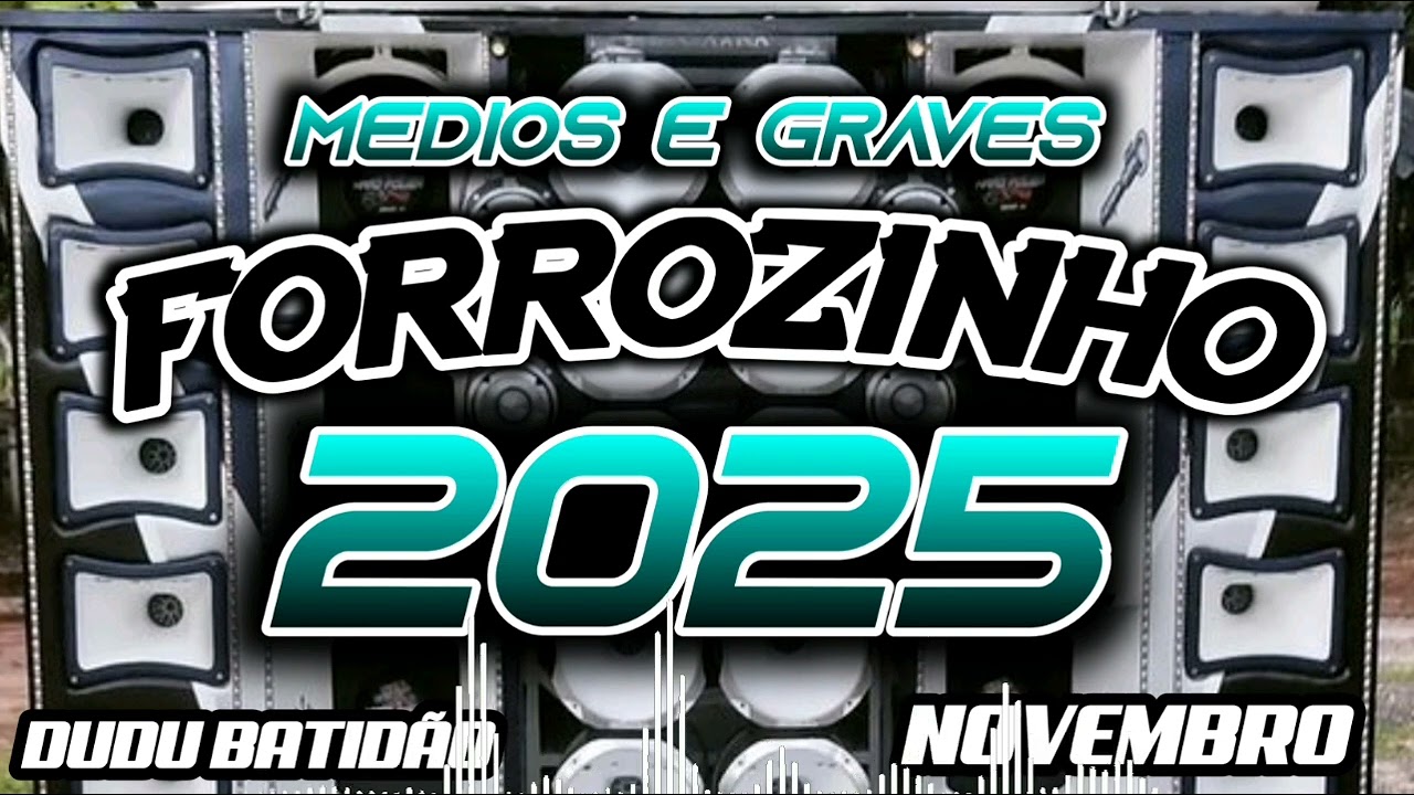 FORROZINHO 2025 PAREDÃO LAPADA ATUALIZADO 2025 CD NOVO SELEÇÃO 2025 #nordeste #piseiro #forrozin