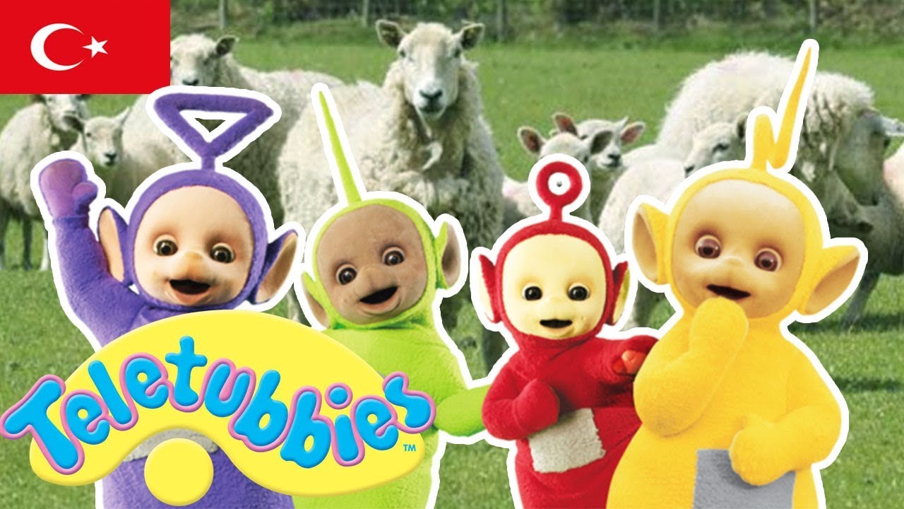 Teletubbies Türkçe | Kuzular | Sezon 01 bölüm 06 | Çocuklar için Çizgi Filmler