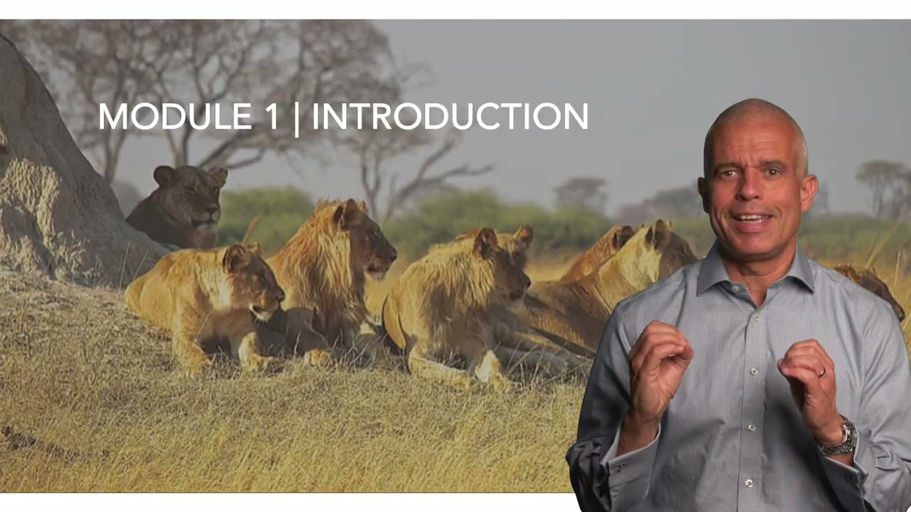 01 Welcome to The Hunt | Job-Searching and Career-Building With Purpose