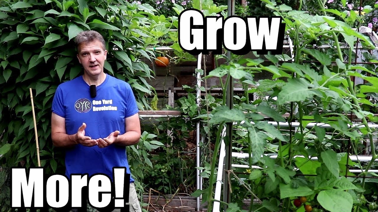 5 Tips for Beginners to Grow More Food in a Small Garden