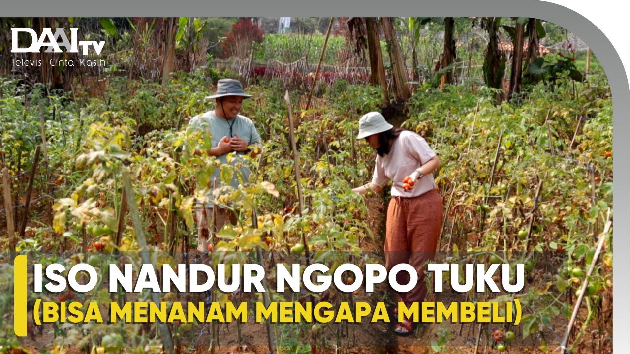 Jika Bisa Menanam, Mengapa Membeli?