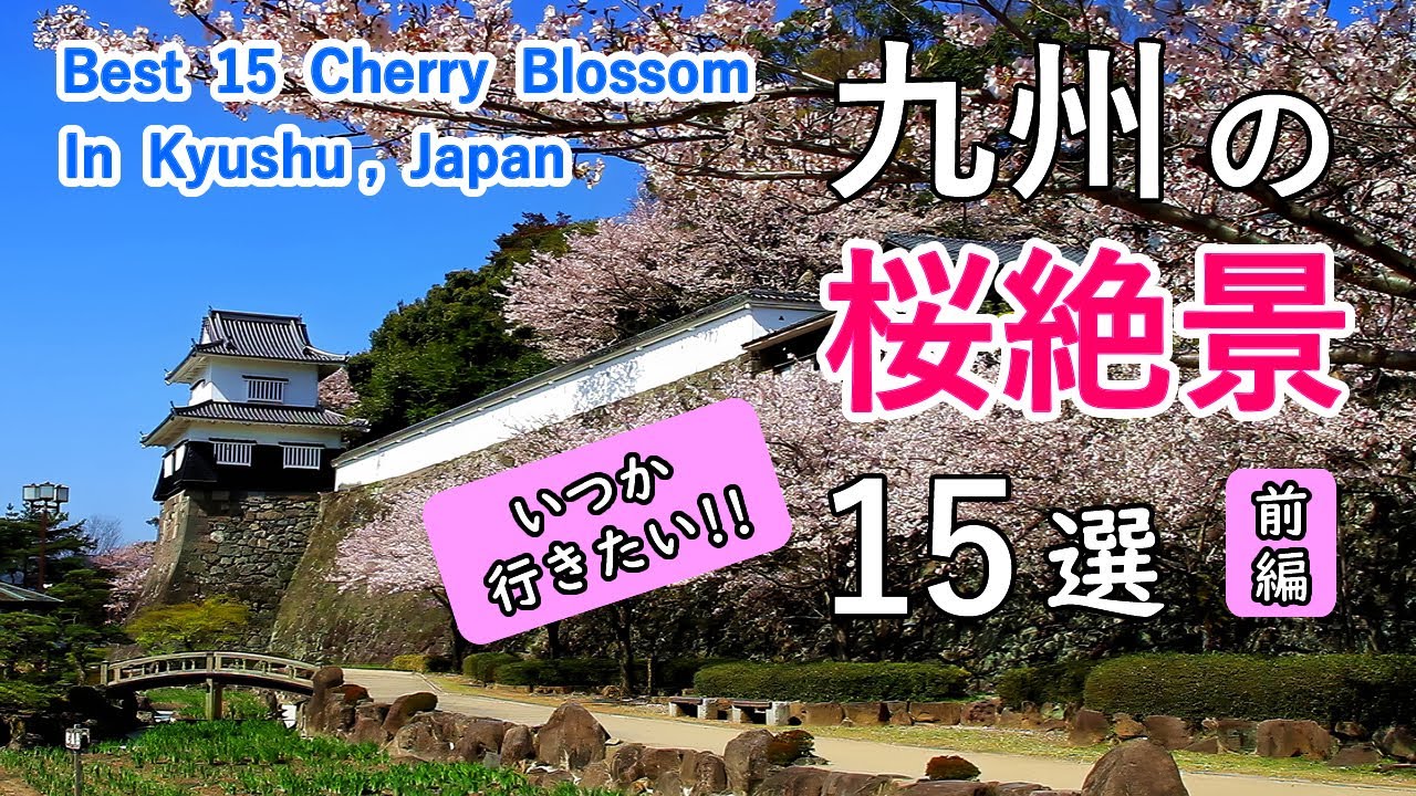 九州の桜絶景 ベスト15選（前編） / 大村公園・唐津城・福岡城・岡城跡など / Best 15 Cherry Blossom (Sakura) in Kyushu, Japan Part 1