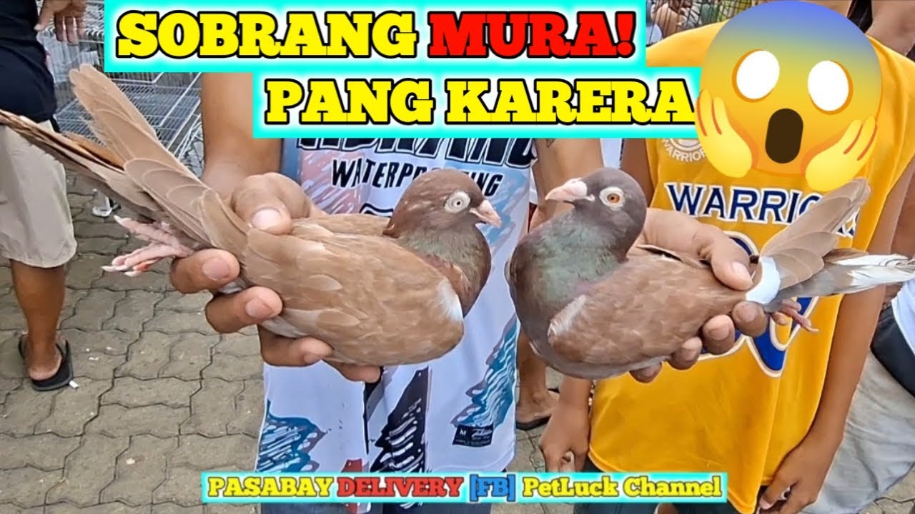 MURANG KALAPATI AT IBA PA SA MALABON PET MARKET