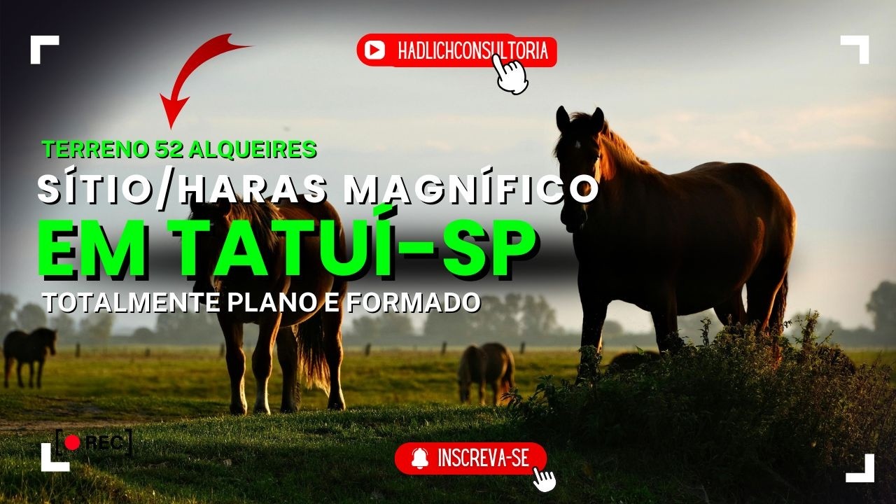 🐎SÍTIO/HARAS COMPLETO em TATUÍ – SP | Estrutura profissional | alta produtividade | 52 Alqueires