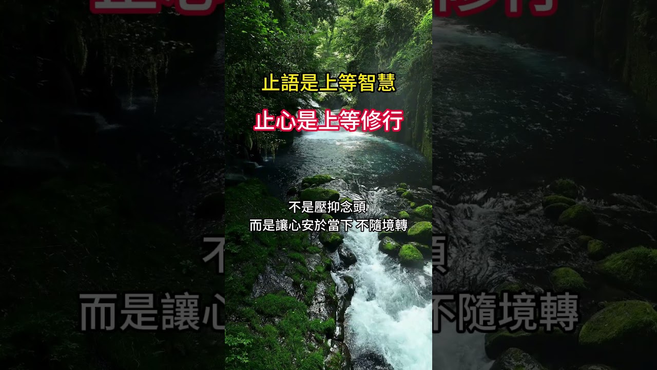 「止語」不是退縮，而是看透了言語的界限；「止心」不是冷漠，而是懂得讓心回歸平靜。 #正能量 #人生感悟 #意識 #心靈暖流 #人間心理 #情感 #感情 #能量療愈