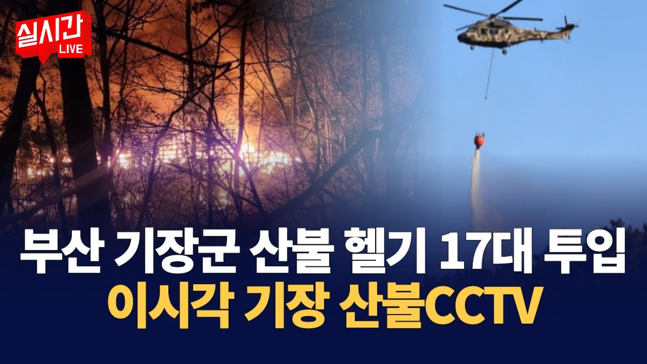 부산 기장군 산불 진화에 헬기 17대 투입··· 소방 “진화율 90%” : 이시각 기장 산불 CCTV