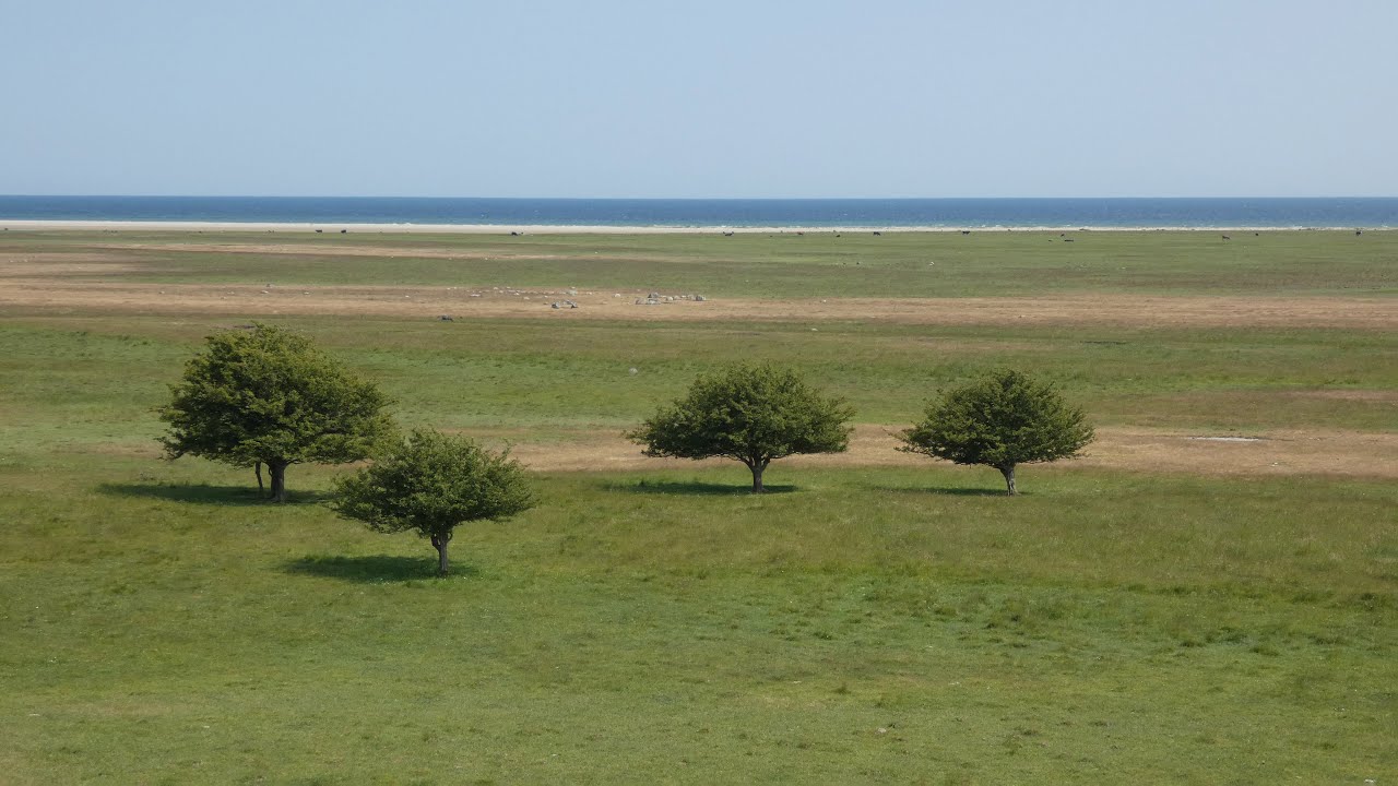 Öland Ottenby Lund