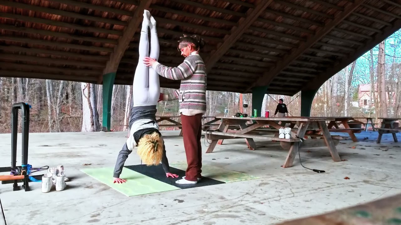 skill training workout pure calisthenics