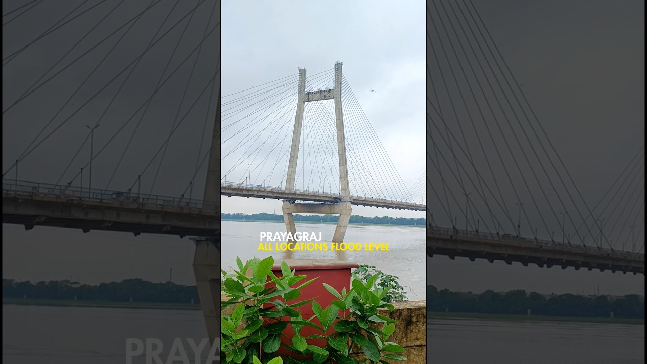 Prayagraj Sangam Flood Today ⛈️ Sangam Water Level Today ⛈️ Prayagraj Sangam Badh #prayagraj #flood