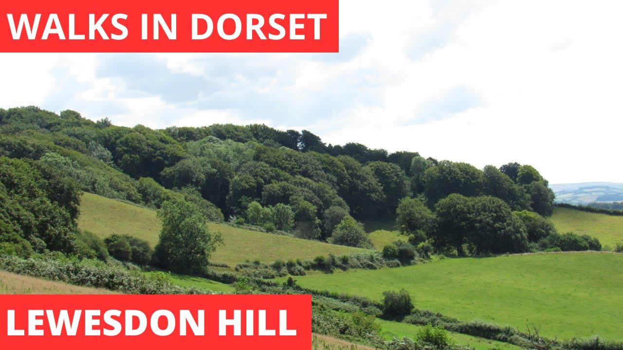WALKS IN DORSET at LEWESDON HILL (THE HIGHEST HILL IN DORSET) & BROADWINDSOR (4K)