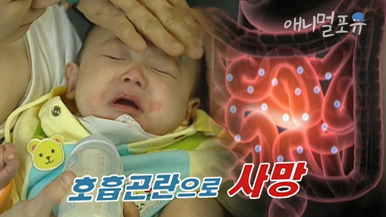 감기에 걸린 아기에게 했던 이 행동 때문에 맞이한 허망한 죽음 ㅠㅠ.. 이거 먹일 때 조심하세요ㅣKBS 위기탈출 넘버원 100405 방송