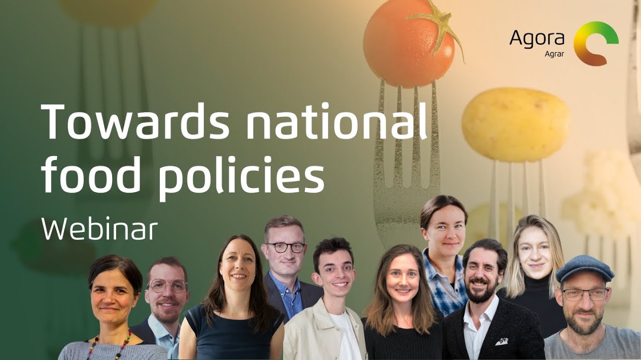 Towards national food policies in the EU that support healthy and sustainable consumption