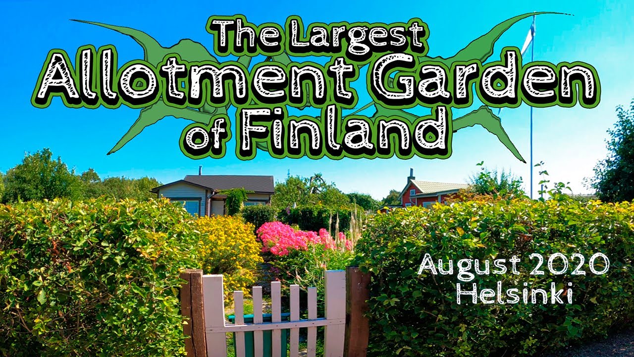 Walking in Tuomarinkartano and Pakila Allotment Garden, August 2020, Finland, Helsinki [4K]